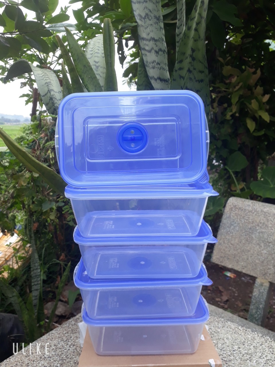 ##COMBO 5 HỘP NHỰA CHỮ NHẬT 800ML##