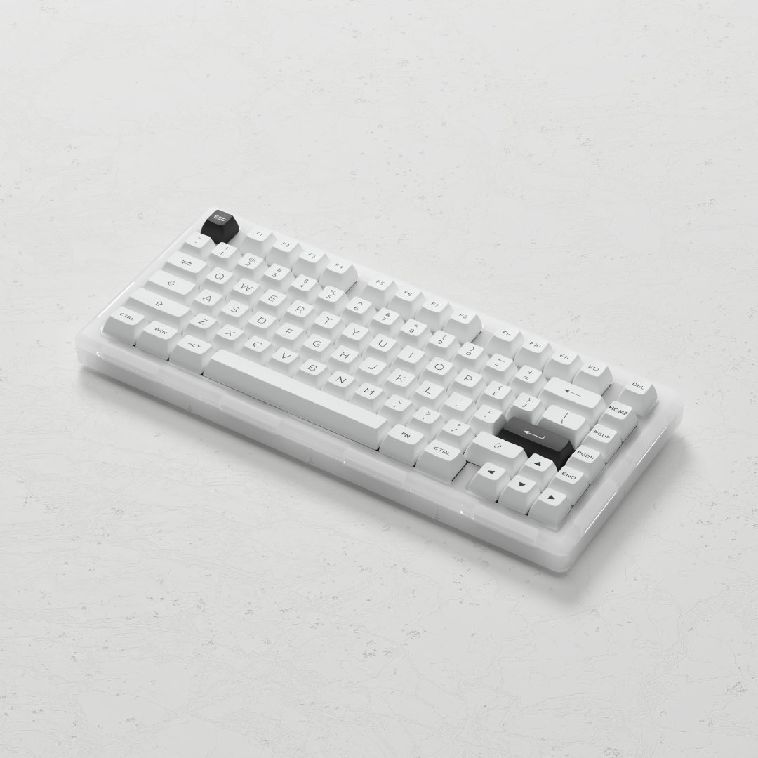 Bàn phím cơ AKKO ACR Pro 75 (RGB / Hotswap / AKKO CS Crystal / Gasket Mount)
