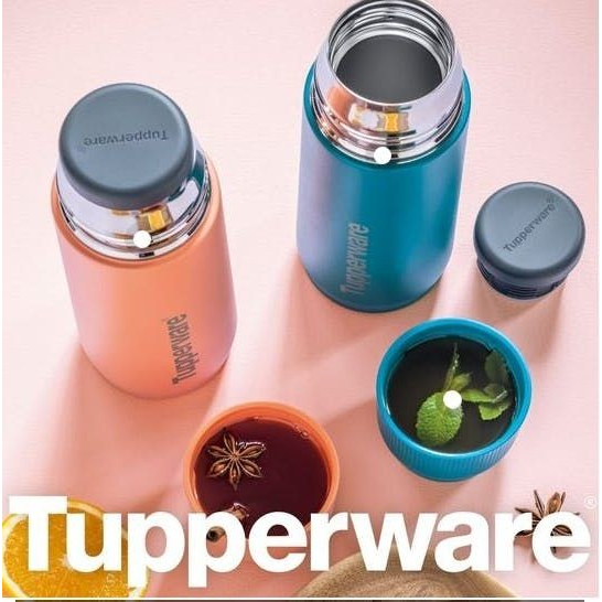 Bình Giữ Nhiệt Tupperware 520ml Buddy (giữ 24h) - Tupperware Mall Chợ Lớn