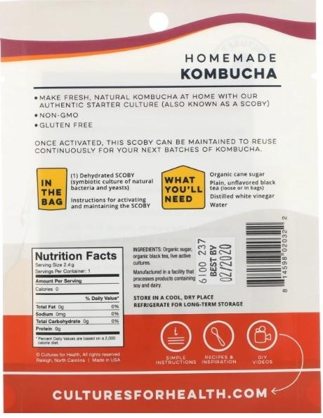 Scoby khởi đầu nuôi Kombucha