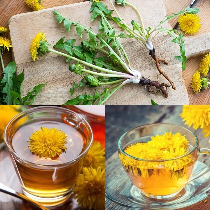 Hoa bồ công anh  (1g)