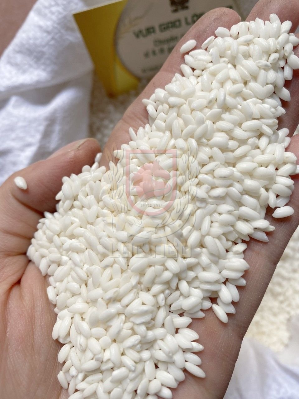 Gạo Nếp Bắc Túi 2Kg - Hạt Tròn Đều, Cơm Dẻo Mềm