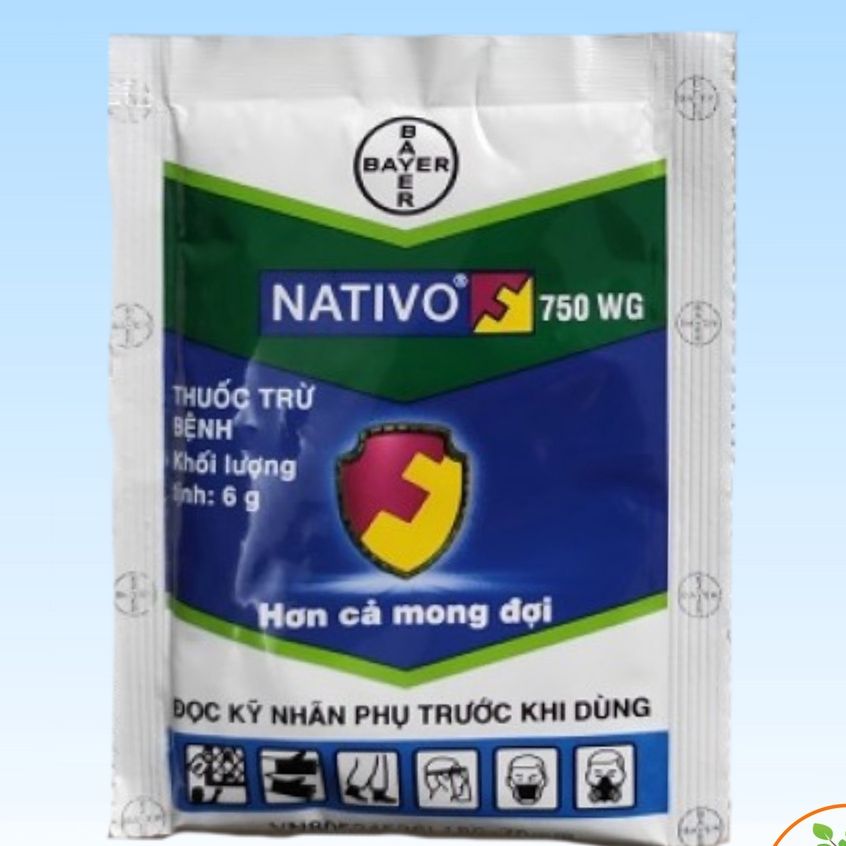 Thuốc trừ bệnh nativo 750wg