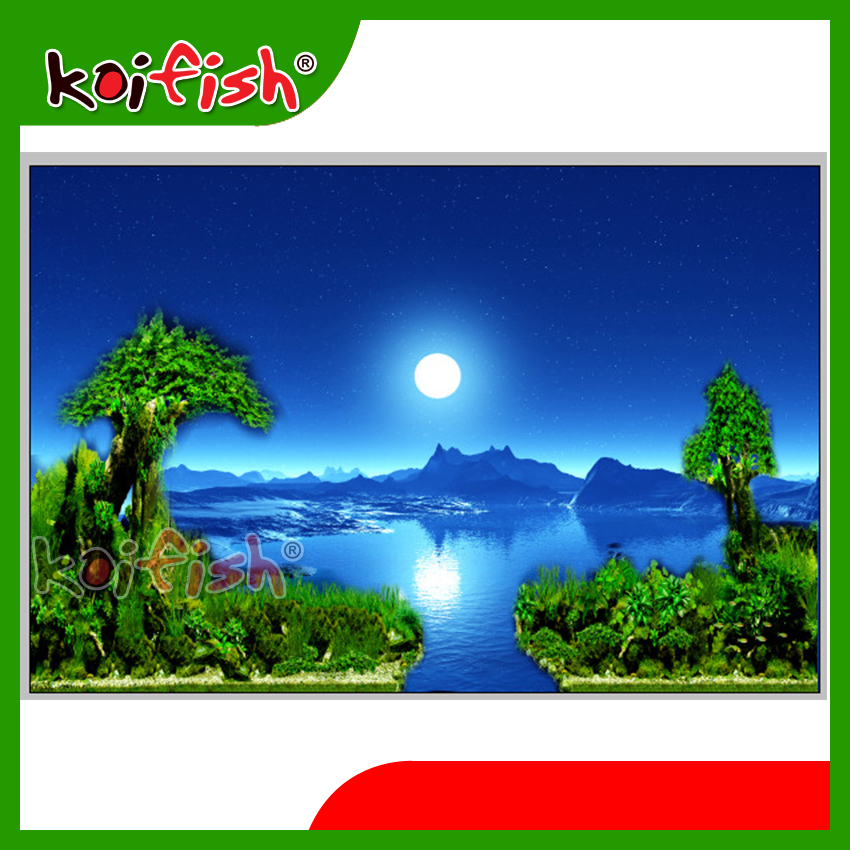 Tranh 3d Koifish, 60x30cm, aqb20-300, độc đáo, ấn tượng