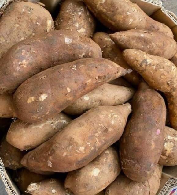 1KG MỨT KHOAI SÂM ĐÀ LẠT SẤY DẺO SIÊU NGON