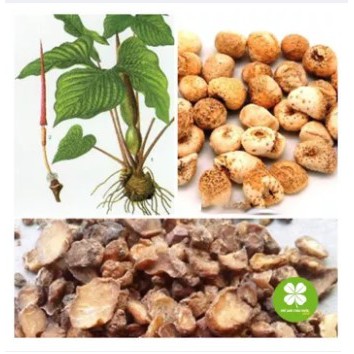 Bán hạ nam khô (gói 1kg) - EG278