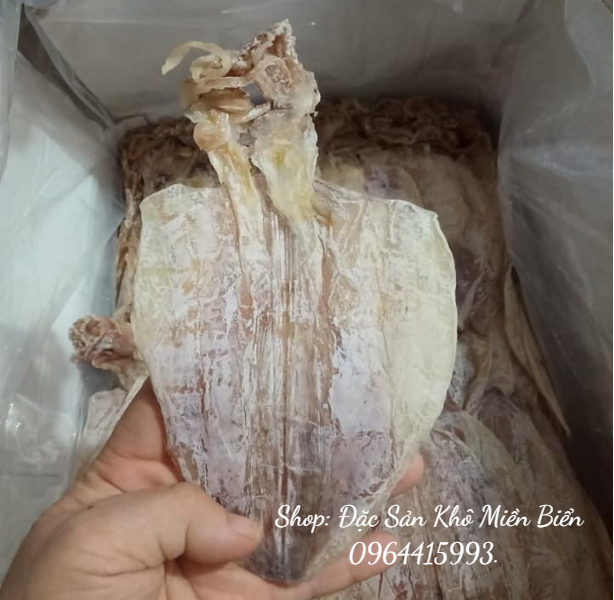 10 con MỰC KHÔ như hình