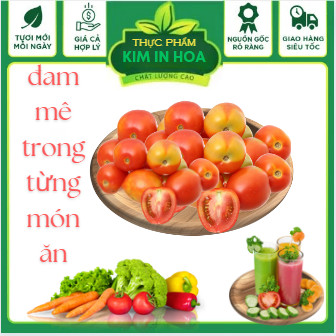 TRÁI CÀ CHUA  ĐÀ LẠT QUẢ  LỚN