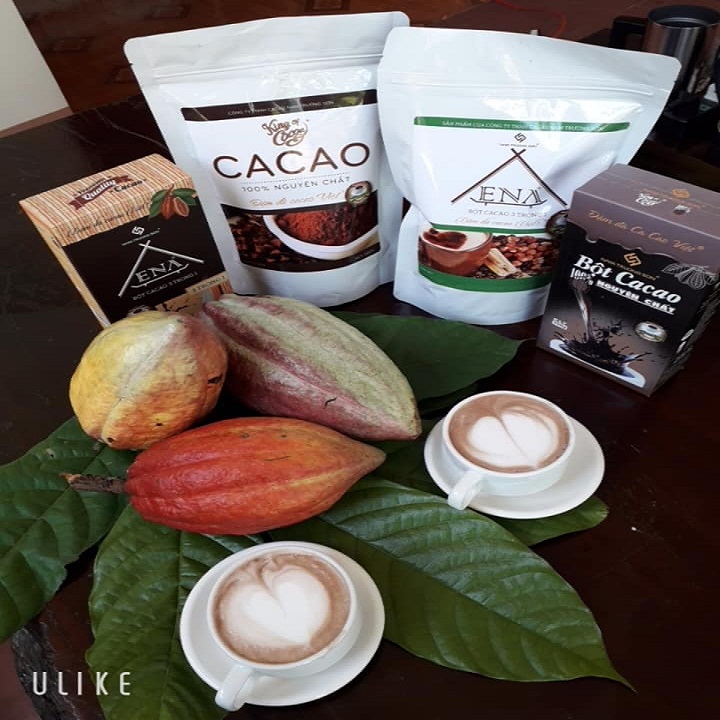 Bột Cacao nguyên chất 500gr Nam Trường Sơn (ĐẶC SẢN BUÔN MA THUỘT)