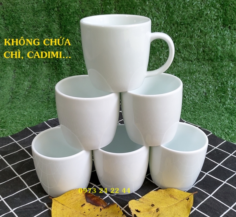 CỐC SỨ TRẮNG LY SỨ