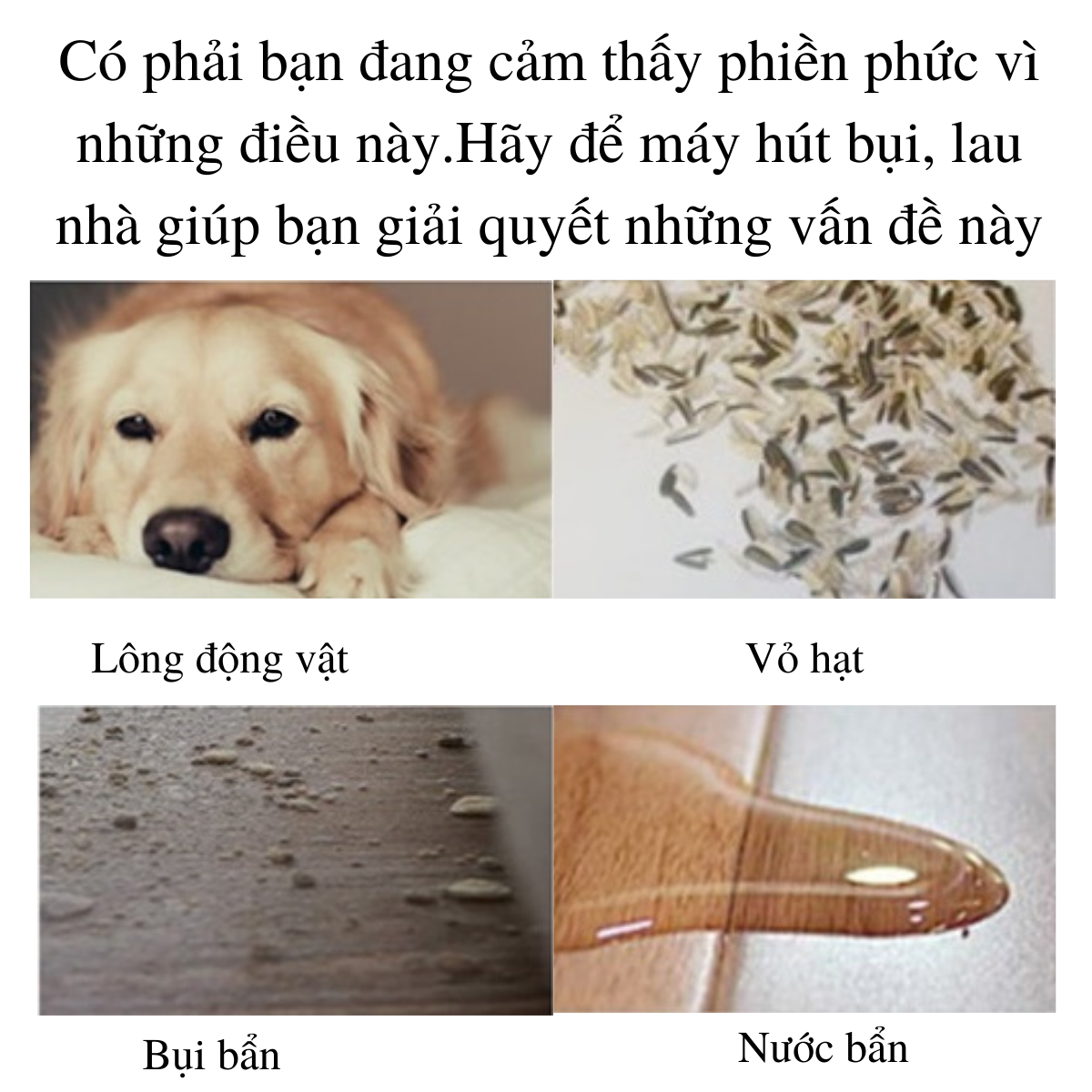 Robot Hút Bụi, Máy Hút Bụi, Robot Lau Nhà Đa Năng, Cảm Biến Thông Minh Lực Hút Mạnh, Tuổi Thọ Pin Cao