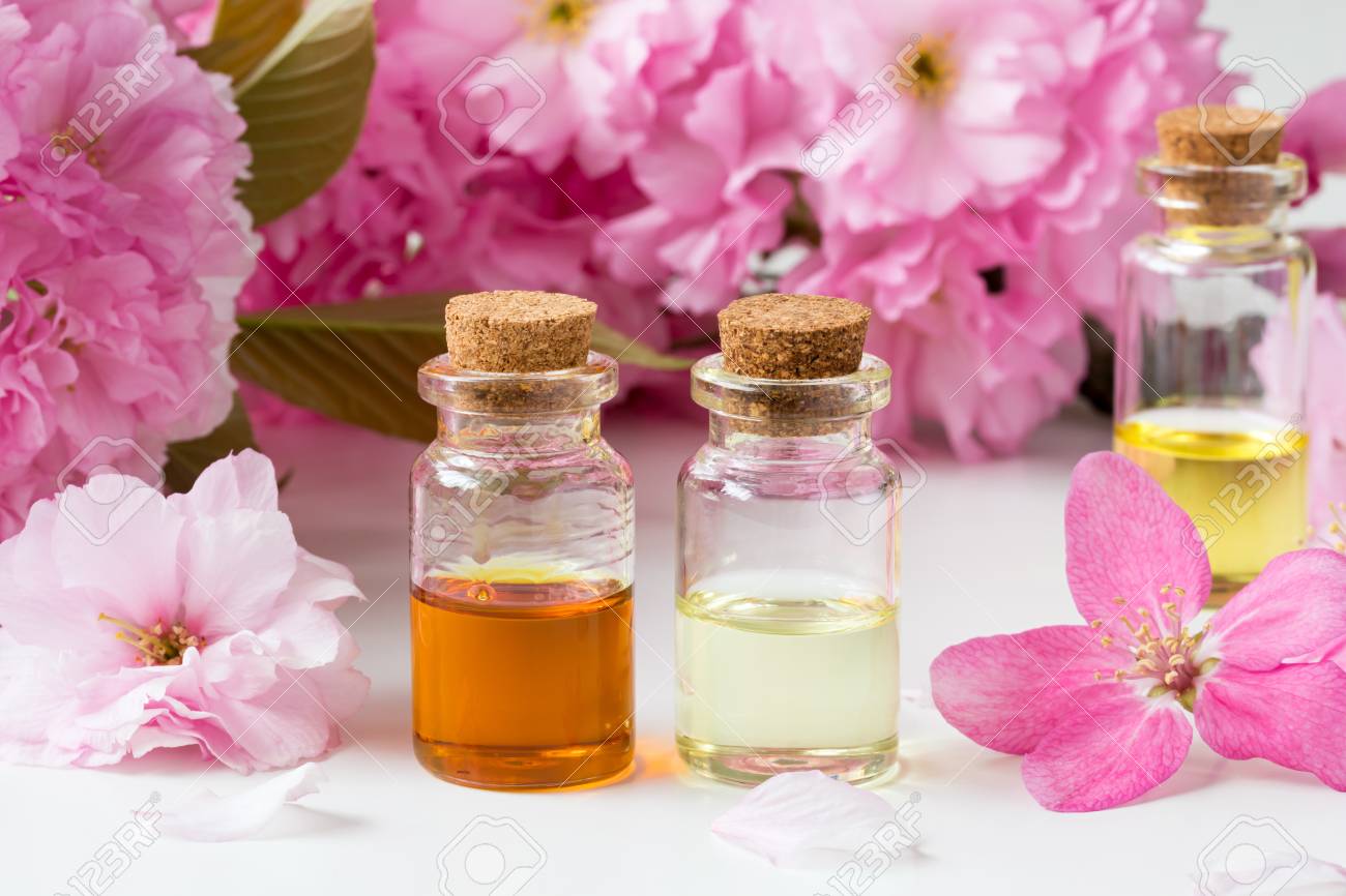 Tinh dầu hoa anh đào (Cherry Blossom)