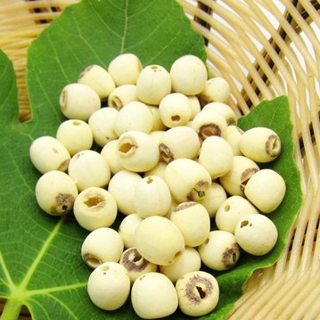 Hạt Sen Sấy Khô