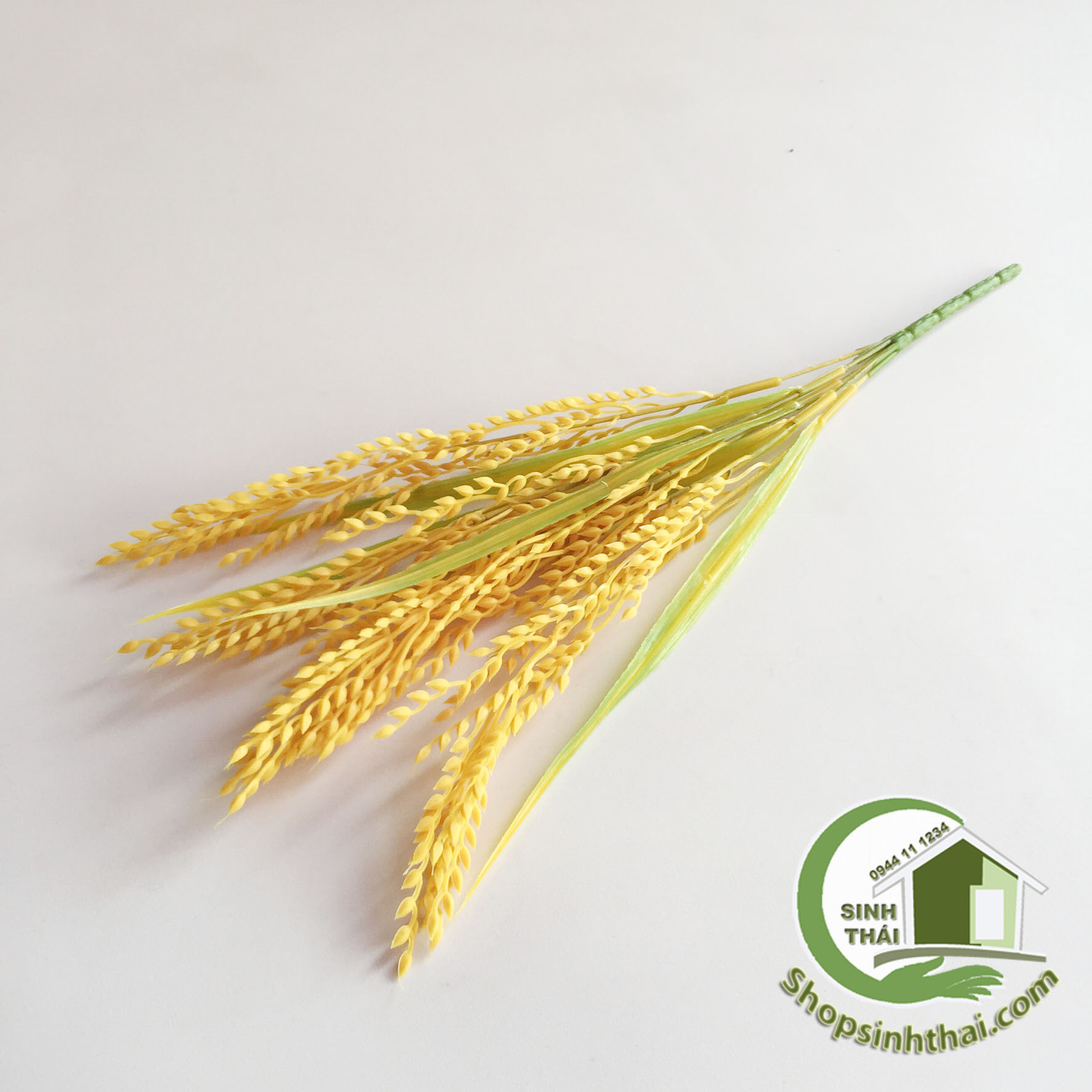 [HCM]Bụi Cây Bông Lúa Vàng Cao 50cm - Bụi Cỏ Lúa Vàng [ 1 bụi ]