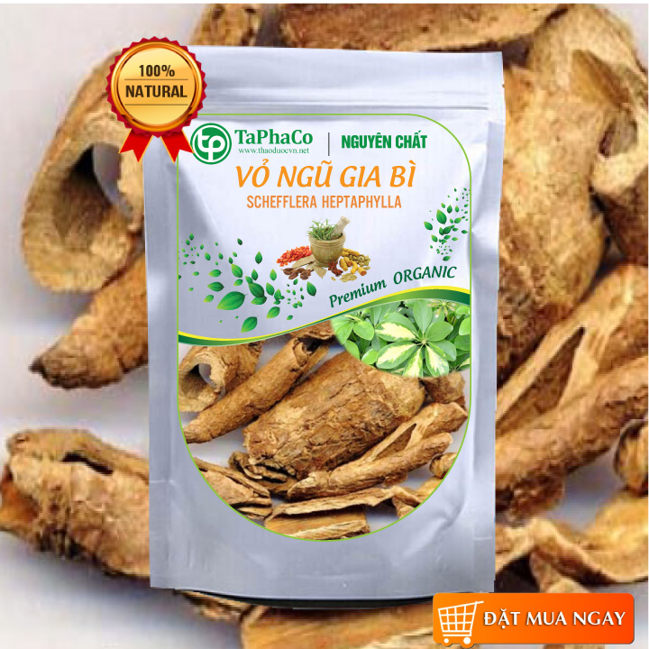 Vỏ ngũ gia bì sấy khô 100g - tấn phát