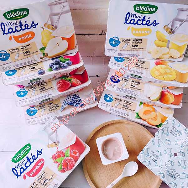 Sữa chua Bledina 6m+ đủ vị