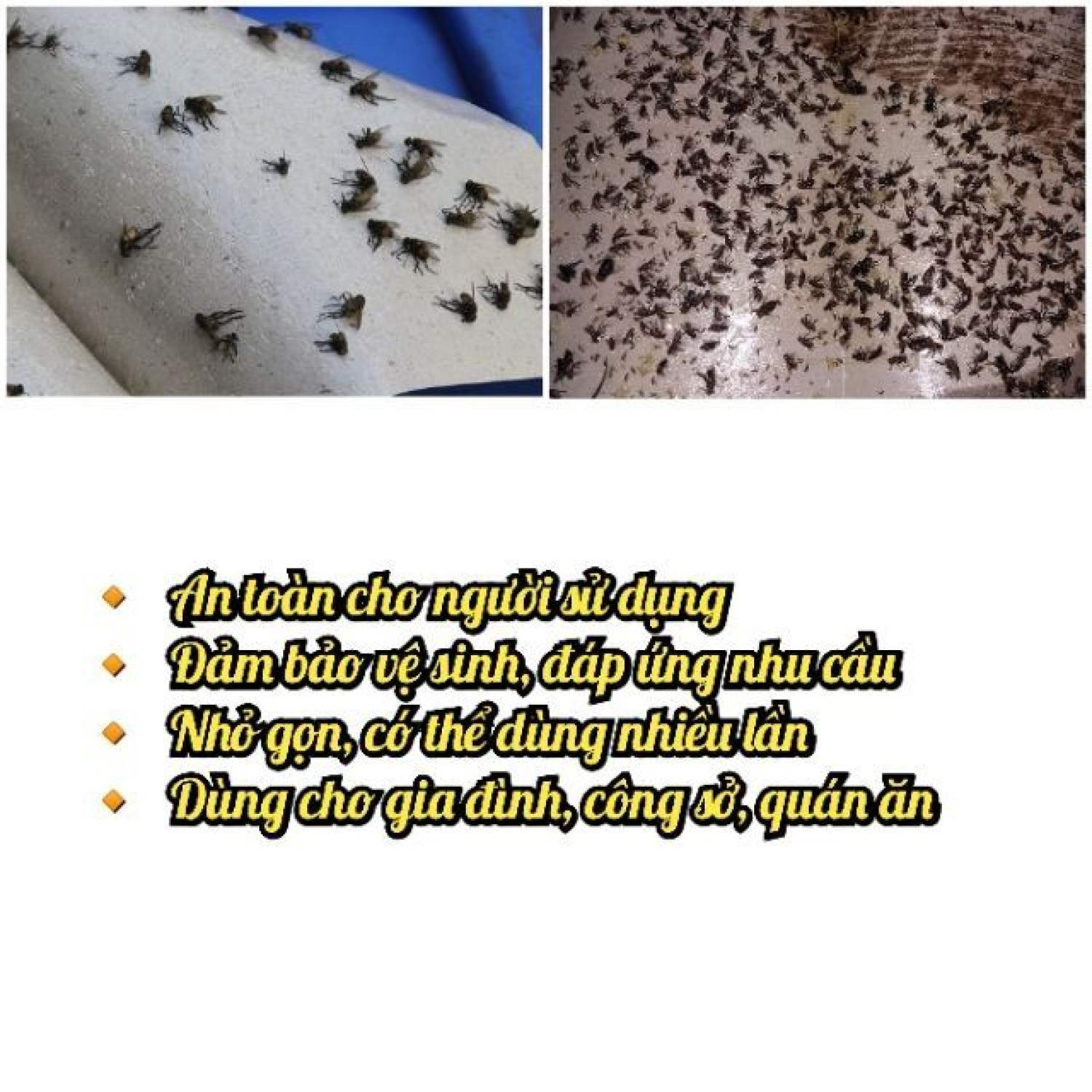 Combo 100 miếng keo dính ruồi