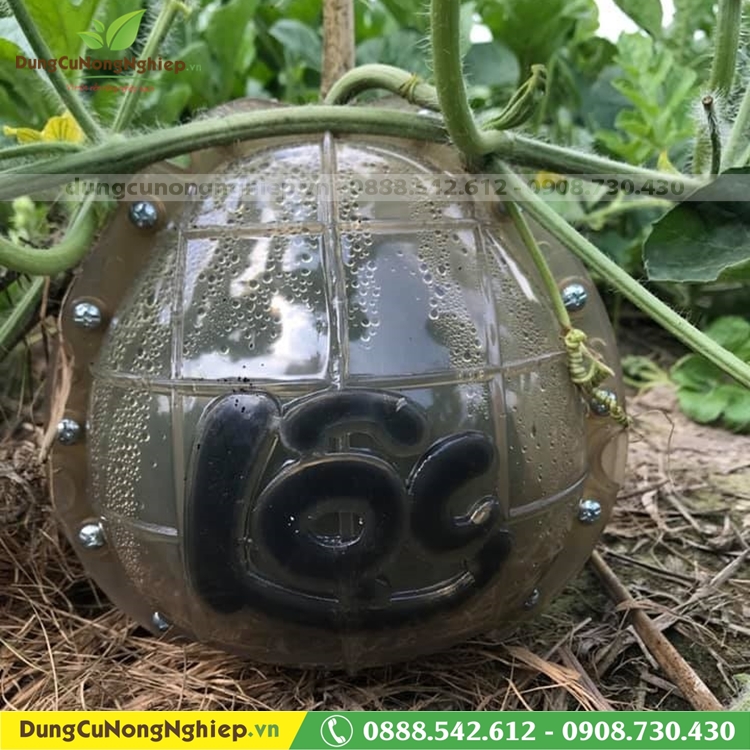 Khuôn giọt nước chữ thư pháp tốt lớn 18x18 chữ nhỏ