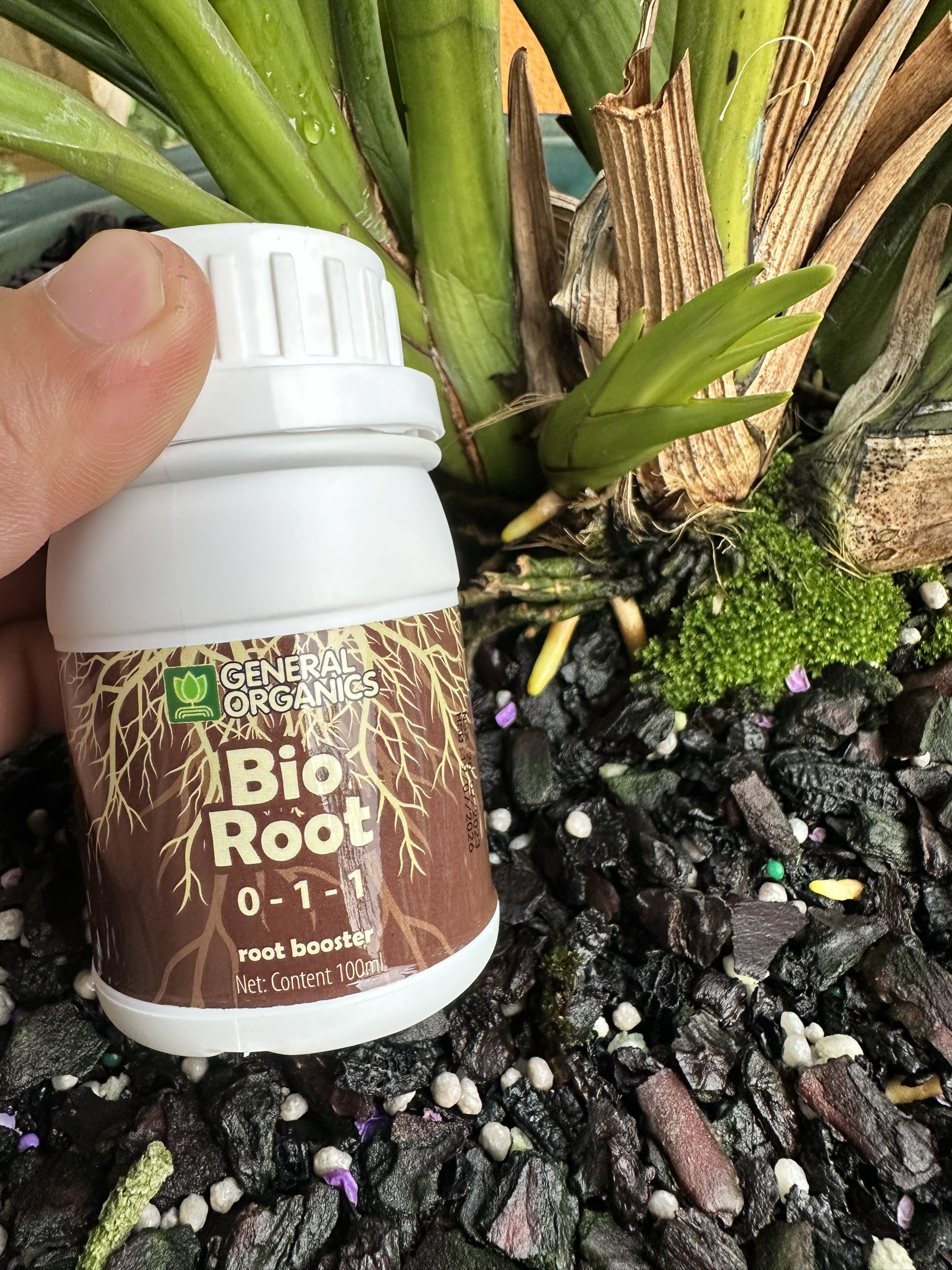 Bio root giúp cây kích ra rễ, ra rễ nhanh nhập khẩu từ Mỹ dành cho hoa lan, hoa hồng, cây cảnh