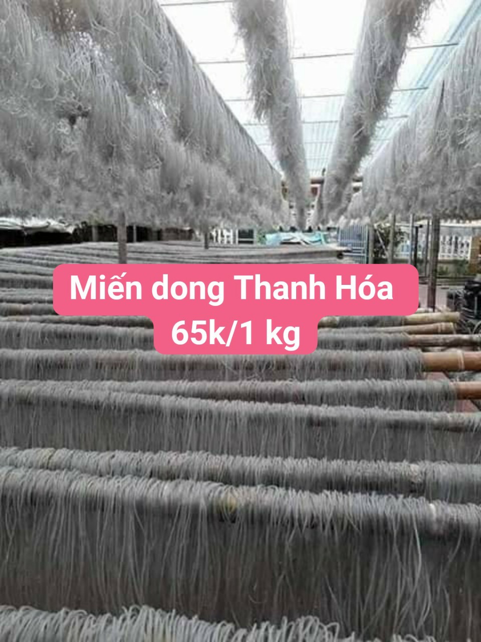 Miến dong Thanh Hóa 1 kg