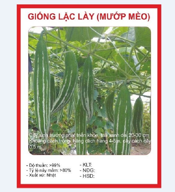 Hạt giống lặc lày - mướp mèo - Gói 10 hạt