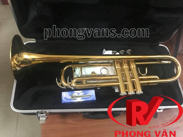 Kèn trumpet Victoria màu vàng