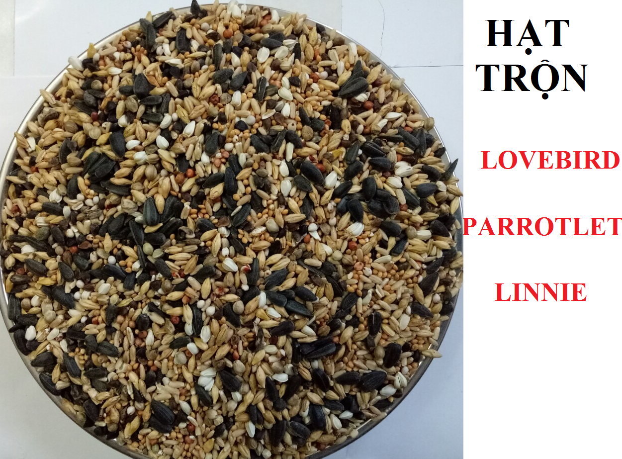 [HCM]1kg HẠT TRỘN ĐẦY ĐỦ DINH DƯỠNG CHO VẸT LBPARROTLETLINNIE