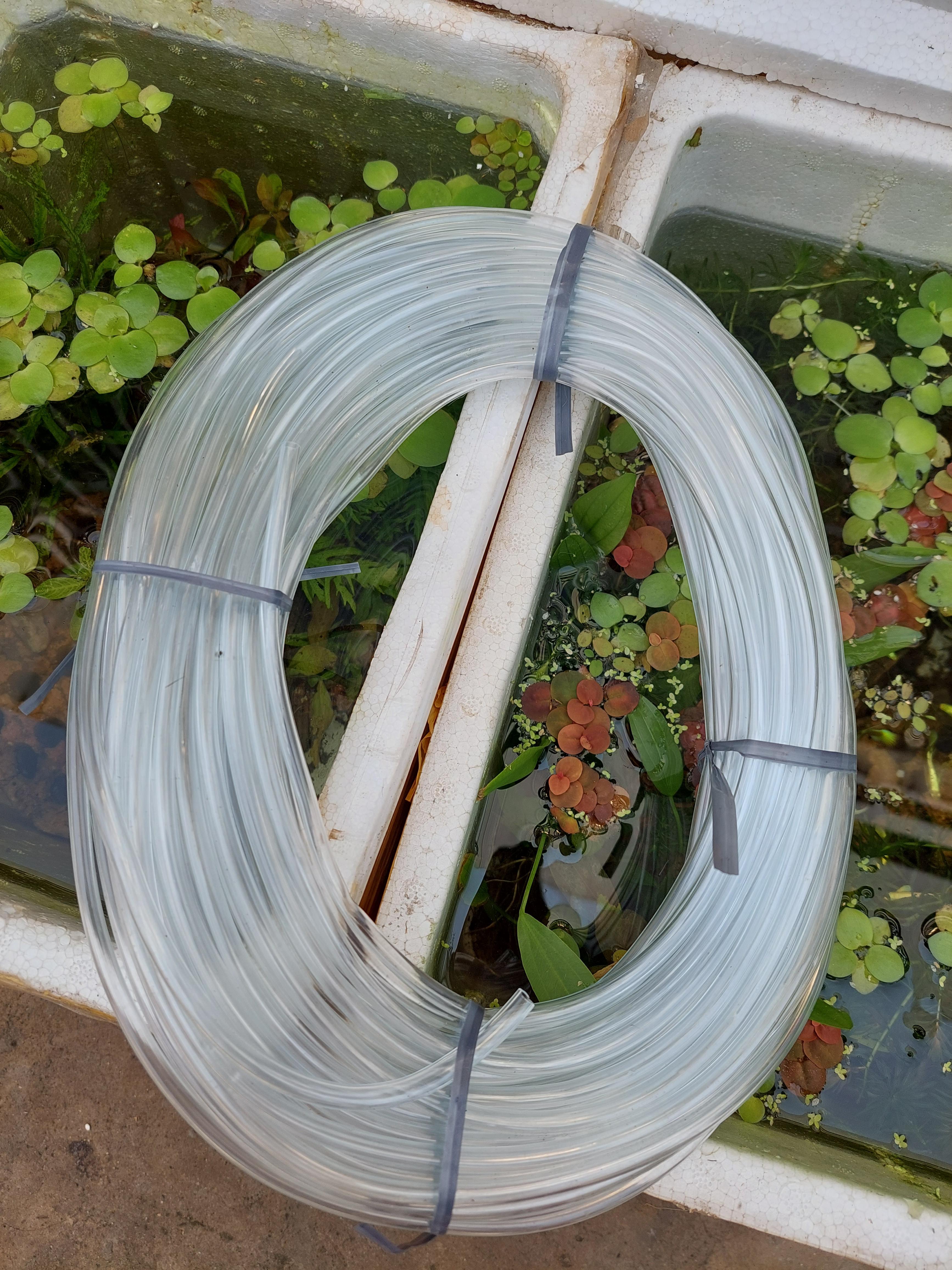 Dây oxi cho hồ cá 4mm màu đen, trắng