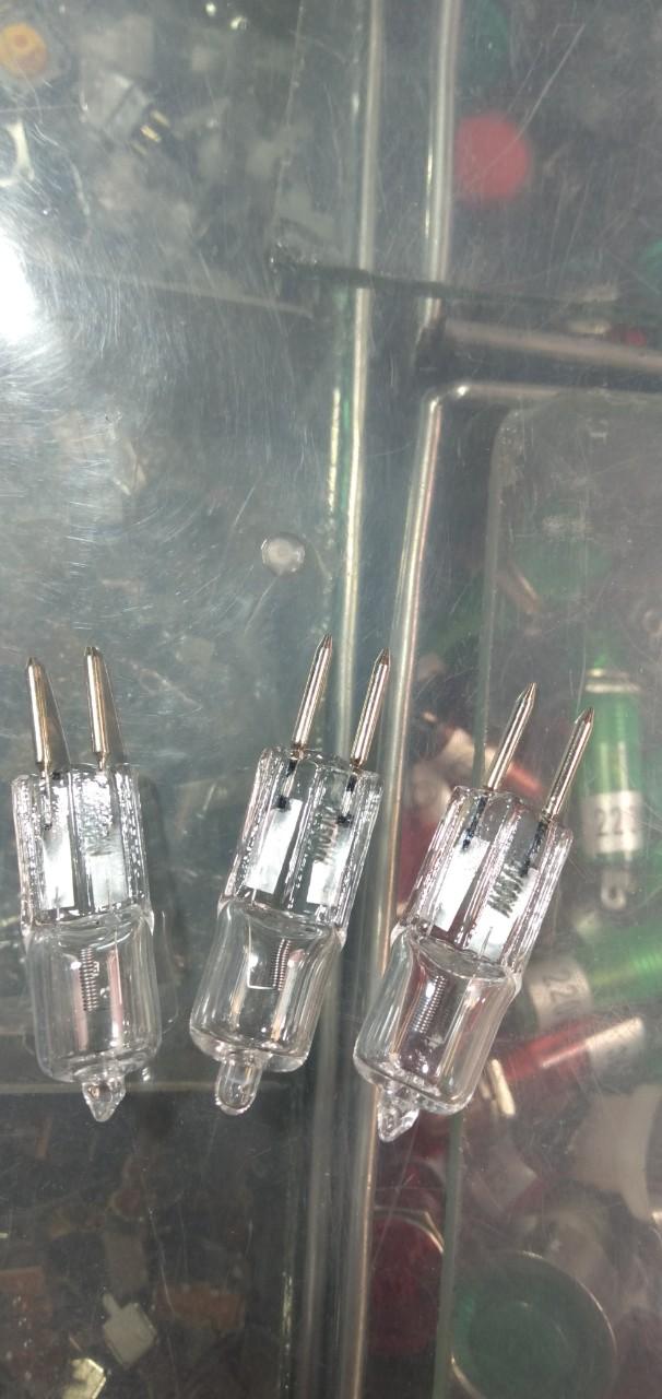 5 bóng halogen 12v 50w
