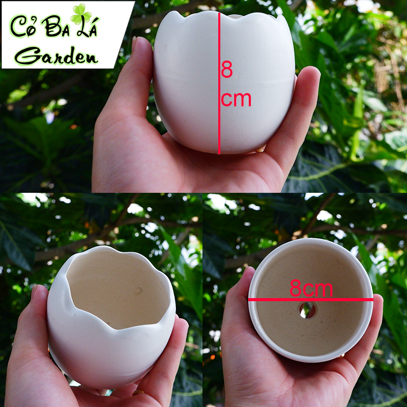 chậu sứ bát tràng Hình Trứng 8x8cm