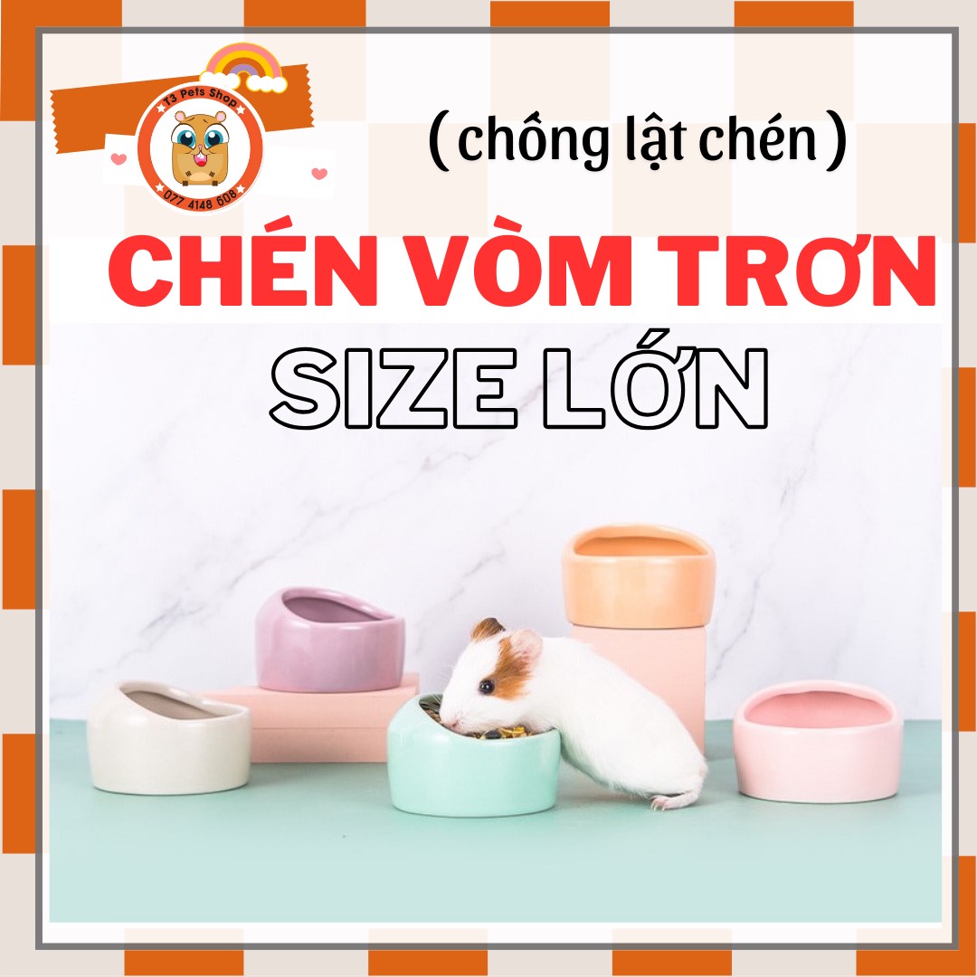 chén vòm trơn size lớn cho hamster /sóc /nhím /fat tail /dumbo / rat -T3 PETS SHOP
