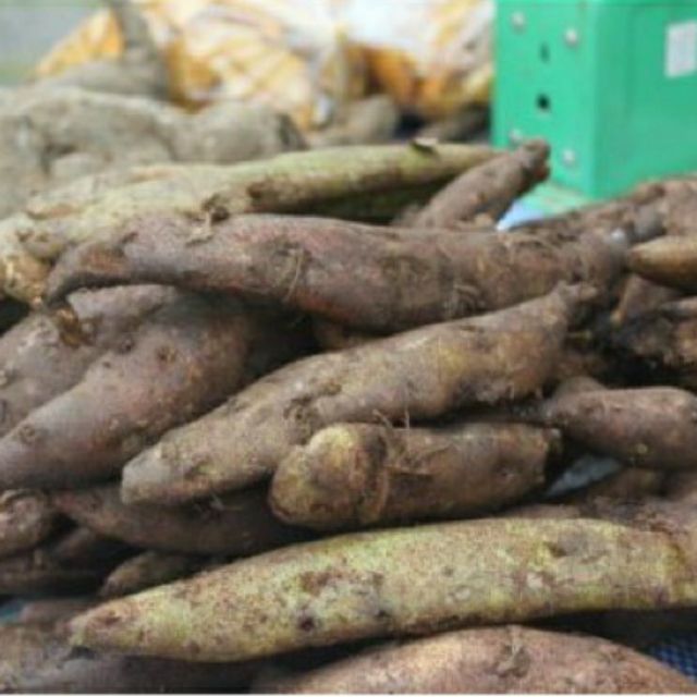 Cốt toái bổ hay gọi là tắc kè đá thượng hạng 1kg hỗ trợ tốt cho xương khớp