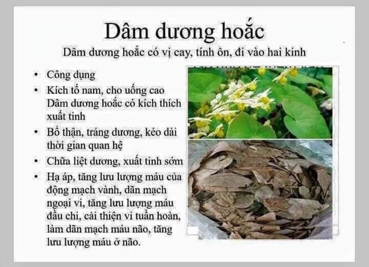 500g cây dâm dương hoắc khô sấy sạch - cây cực đẹp, giá khuyến mãi