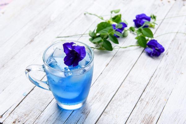 HẠT GIỐNG HOA ĐẬU BIẾC KÉP THAILAN  - GÓI 50 HẠT .