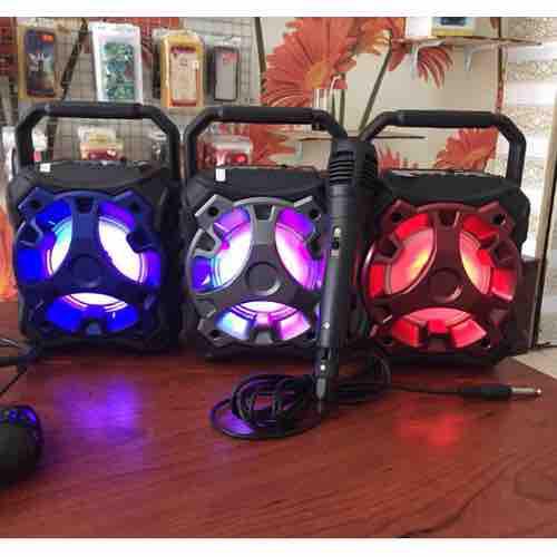 Loa karaoke KTS-996