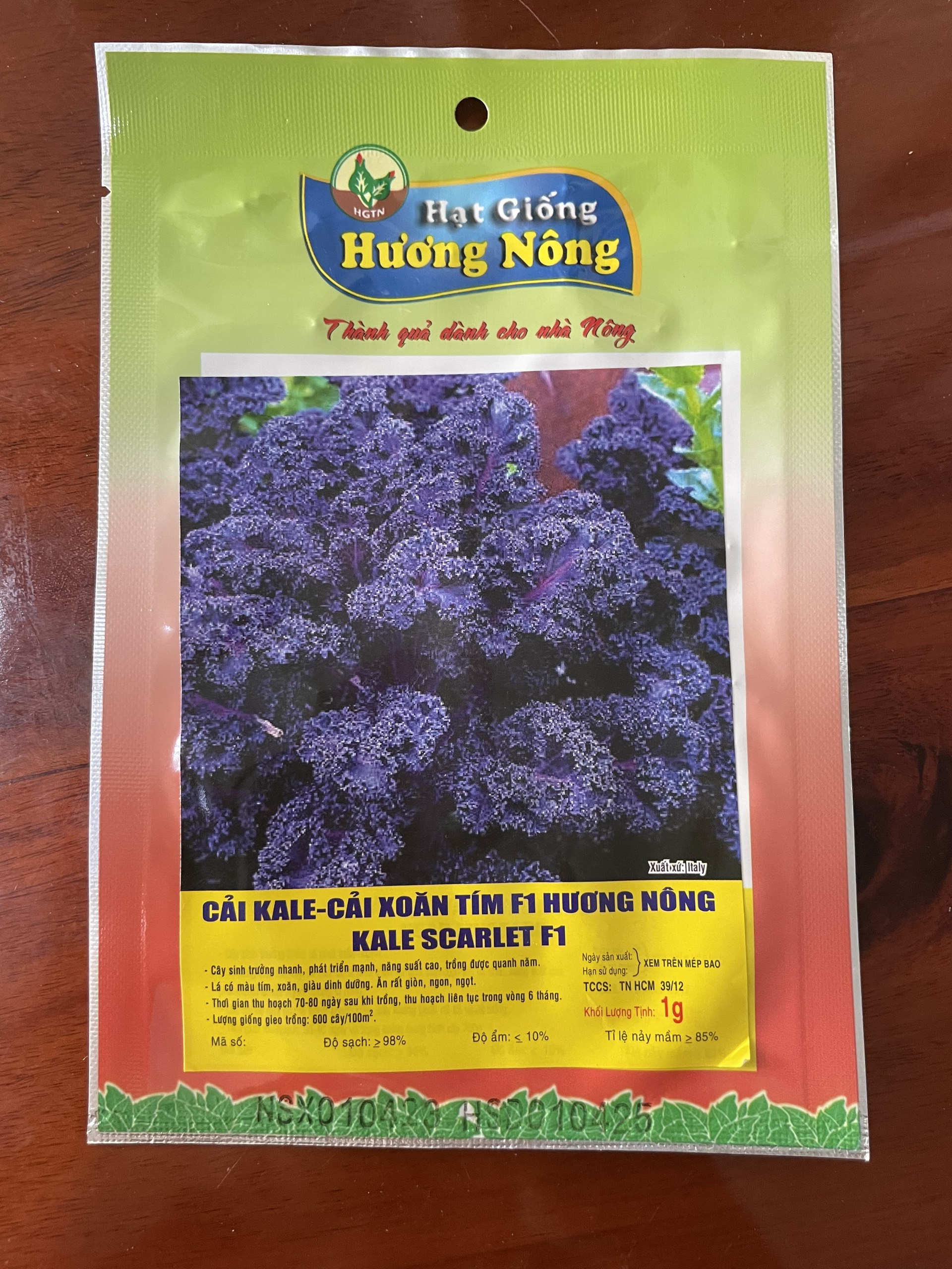 HẠT GIỐNG KALE TÍM (CẢI XOĂN) 1GR