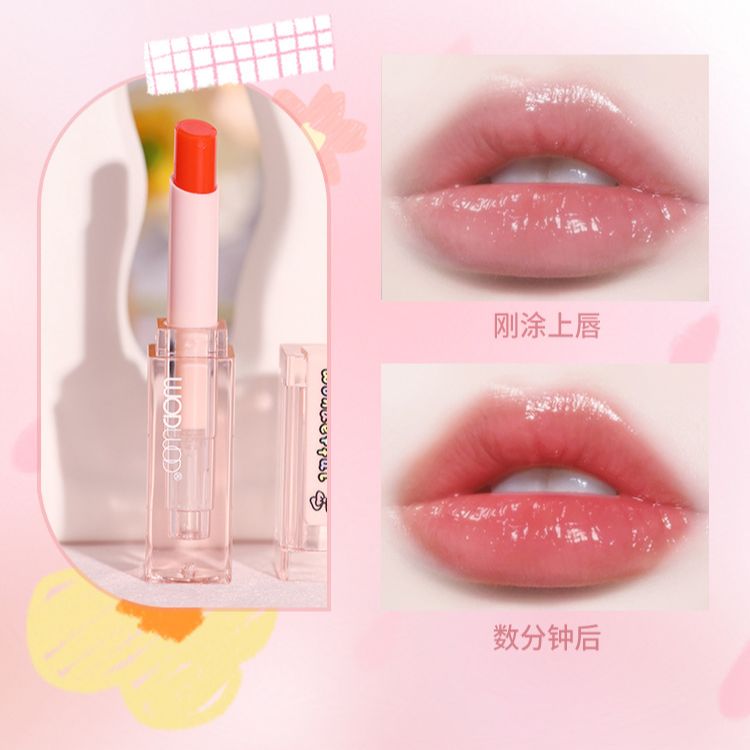 Son Dưỡng Có Màu WODWOD Wonderful W1011