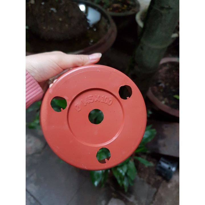 5 CHẬU NHỰA TRỒNG LAN GIẢ GỐM ĐẤT NUNG(145x100mm)