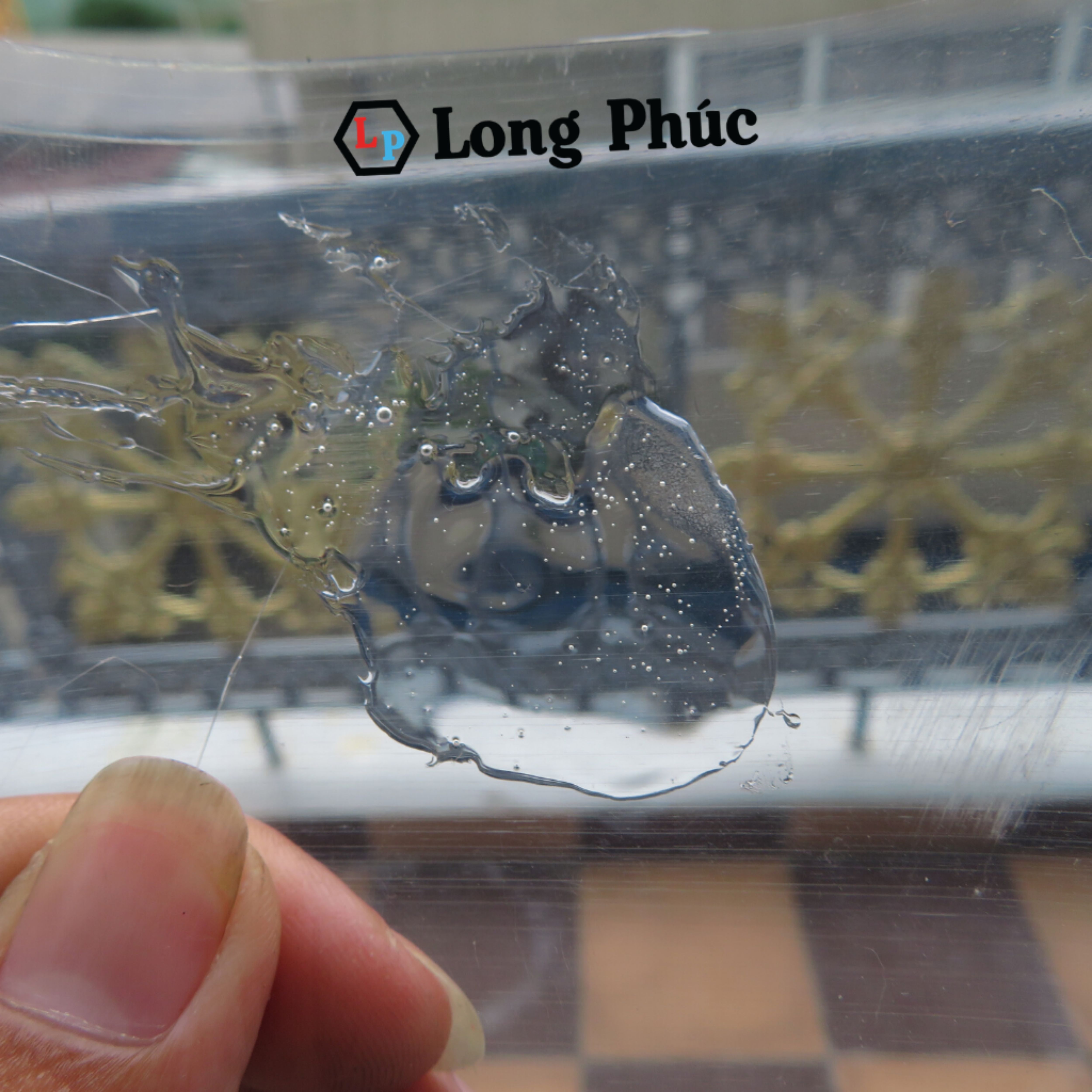 [HCM]Keo Dán Giày Thể Thao SeaGlue 100gr