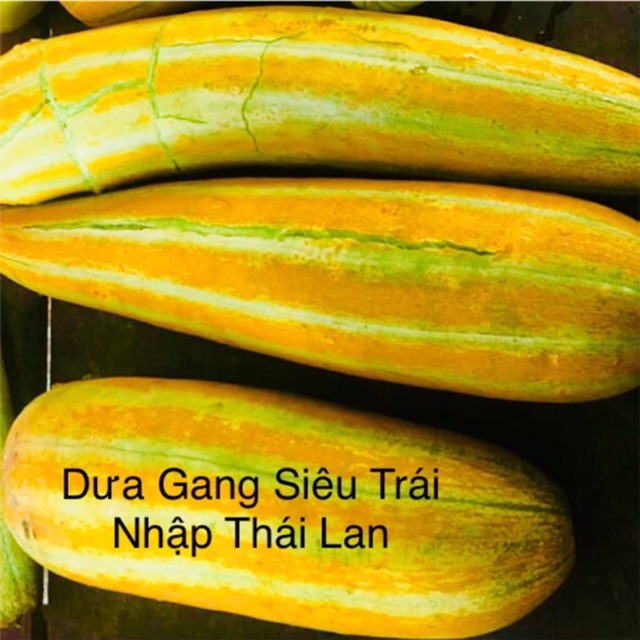 Hạt Giống Dưa Gang Rd 779 Rạng Đông Gói 1Gram