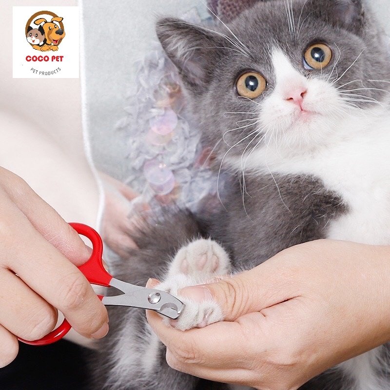 Kìm/Kéo Bấm Móng Mini Cho Chó Mèo Thú Cưng