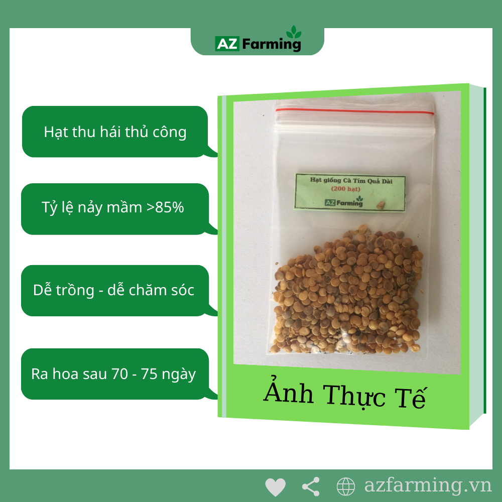 Hạt Giống Cà Tím Quả Dài - Gói 200 Hạt - AZ Farming