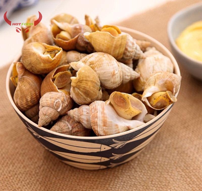 [ Miễn Phí Giao Hàng ]Ốc Bulot Pháp - 1Kg - Giao Nhanh HCM