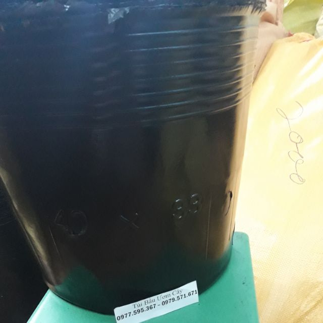 Bầu ươm cây 40x 33 một kg 12 bầu
