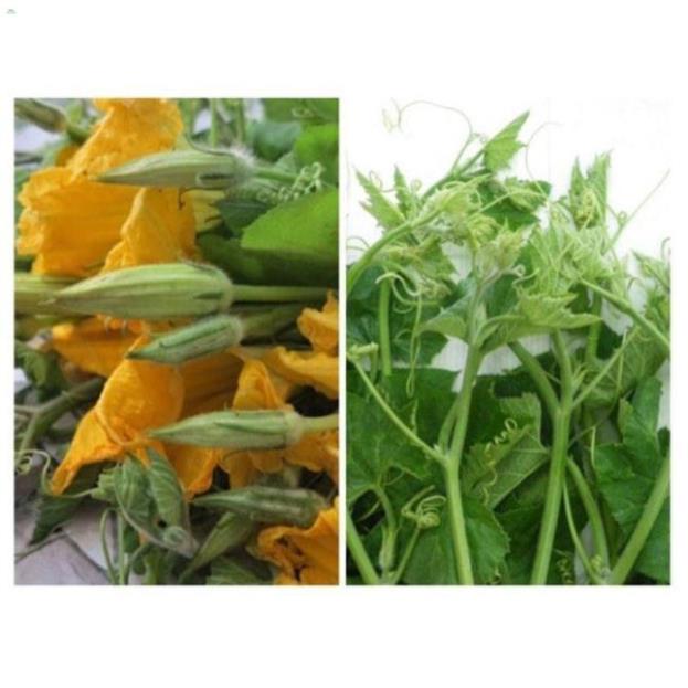 HẠT BÍ NGỌN ĂN BÔNG - GÓI 10 GRAM