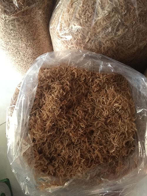 [combo 2 gói 500gram] - RUỐC KHÔ / TÉP KHÔ ĐẶC SẢN ĐÀ NẴNG