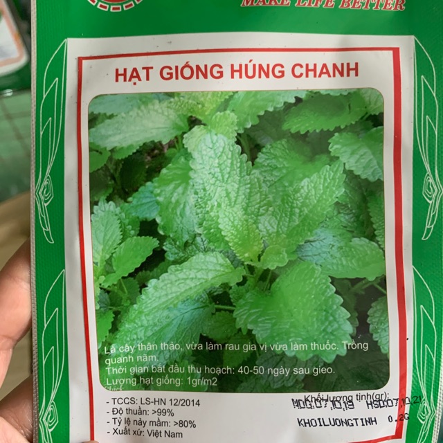 Hạt Giống Húng Chanh