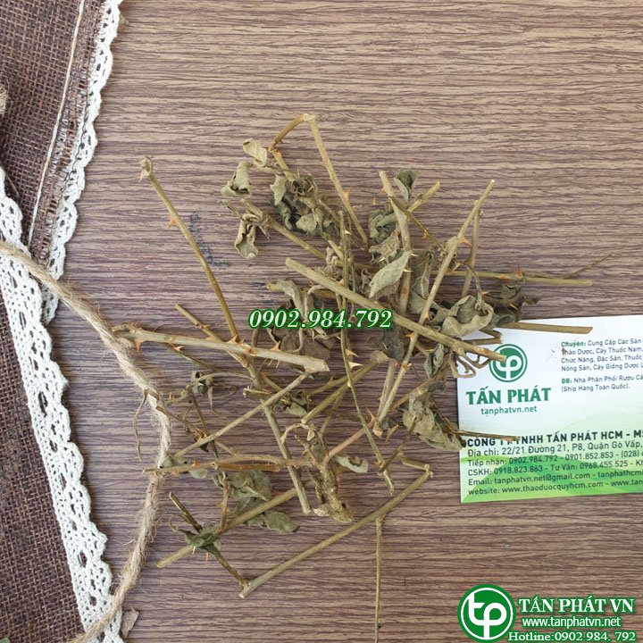 [Hàng công ty chất lượng cao] Trà cà gai leo khô 1kg - Thảo Dược Tấn Phát - Hỗ trợ thanh nhiệt và giải độc