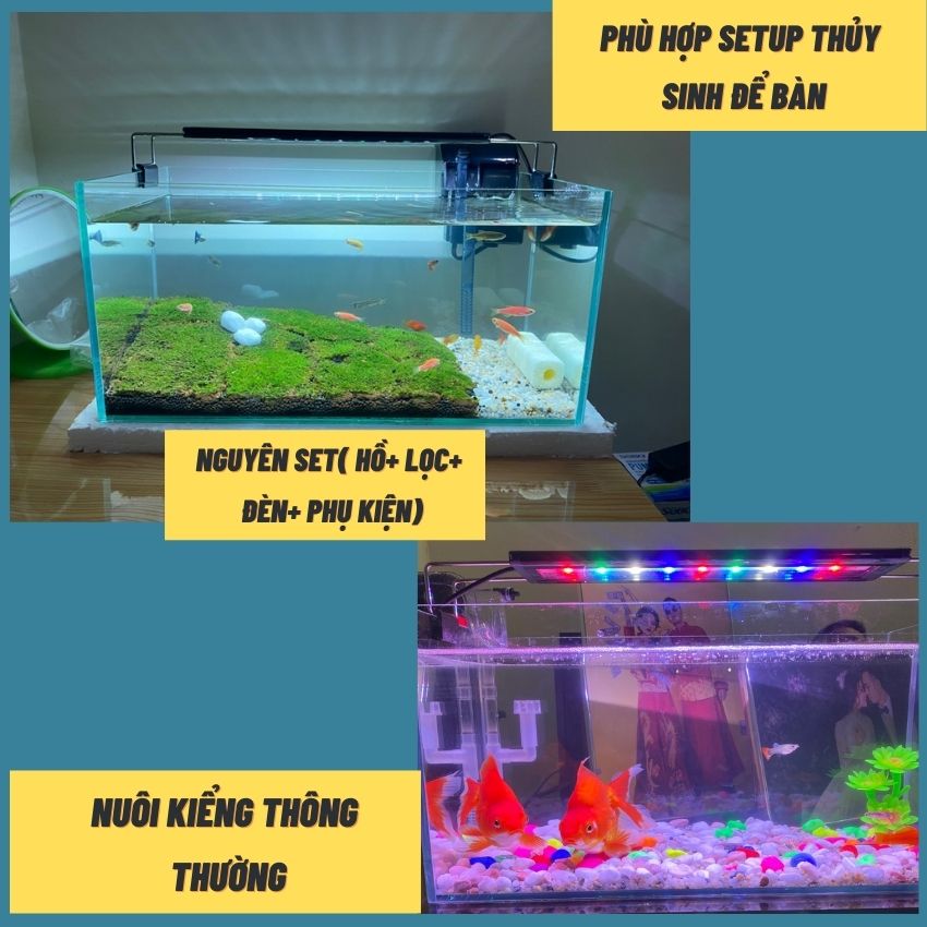 Bể cá mini 40cm COMBO đầy đủ có đèn led siêu dễ thương 3 chế độ sáng