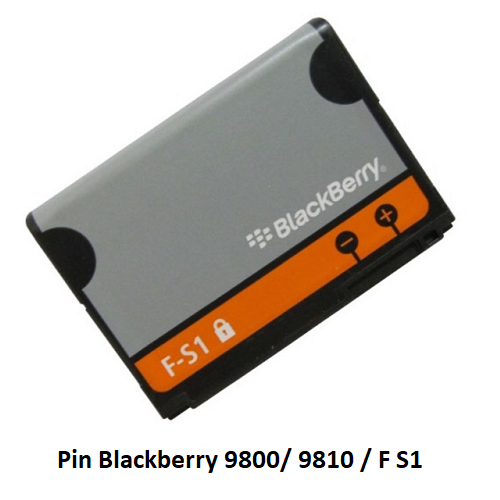PIN BLACKBERRY 9800 9810 (F-S1) - New